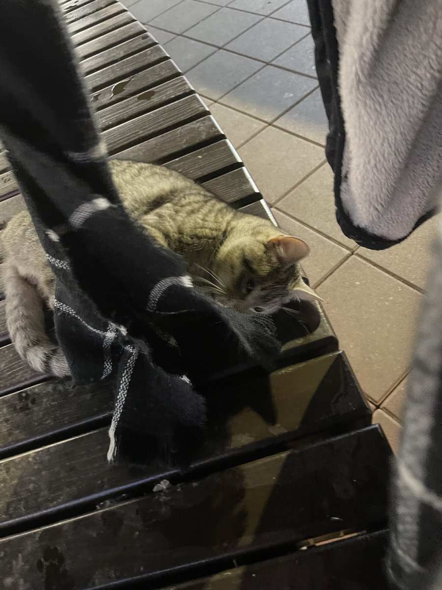 ruru 🤘🏽 tweet media