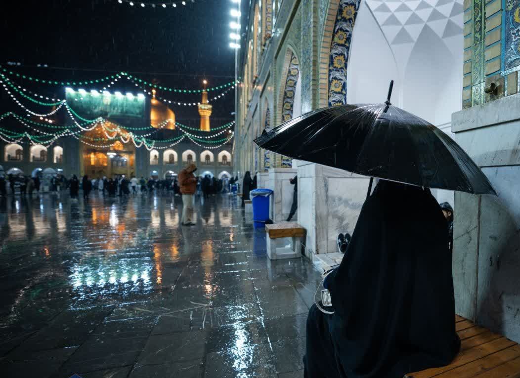 خانم محمدی tweet media