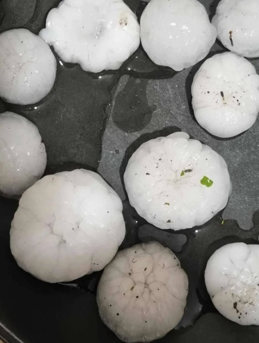 Arab_Storms's tweet image. شاهد حجم حبات البَرَد في بوصلاح بولاية ميلة شرق الجزائر 🇩🇿 اليوم الأحد 26 أفريل 2026، في مشاهد لافتة تُظهر شدة العاصفة الرعدية التي ضربت المنطقة.

#Algeria #Mila #Weather #Hailstorm