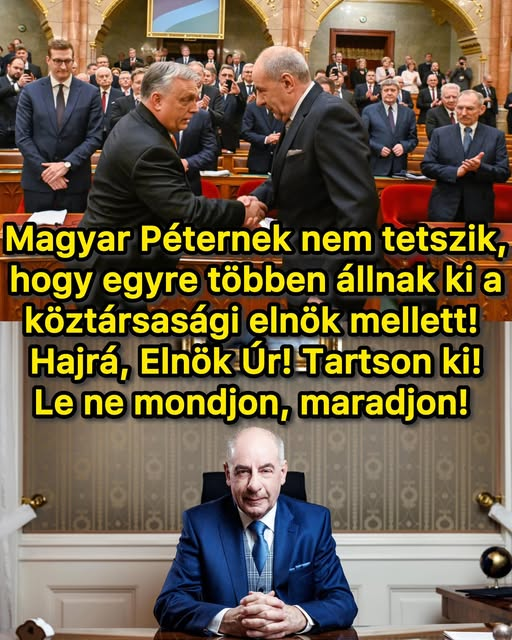 József Krieger®✝🇭🇺🇷🇸🇷🇺✝ tweet media