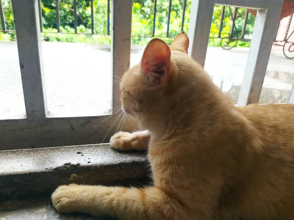 SharonFit❤️ tweet media