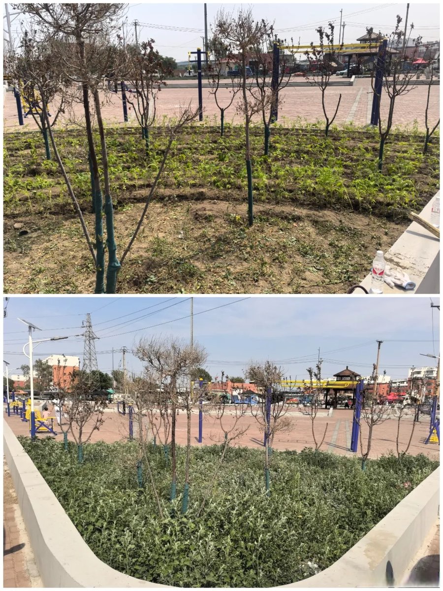 Stephanie tweet media