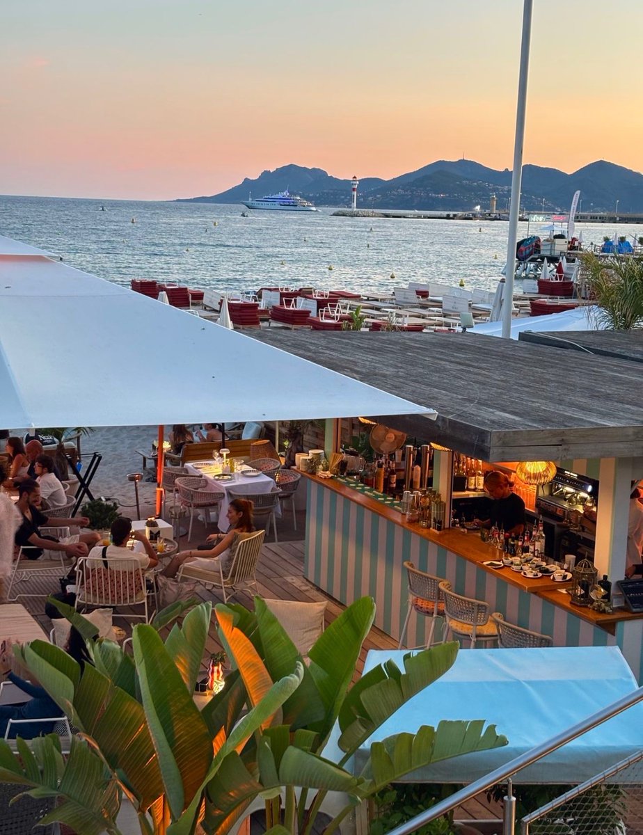 WORLD 2026 🌊 tweet media