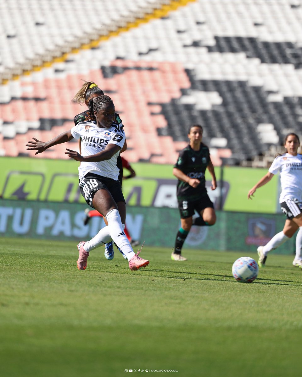Colo-Colo Femenino tweet media