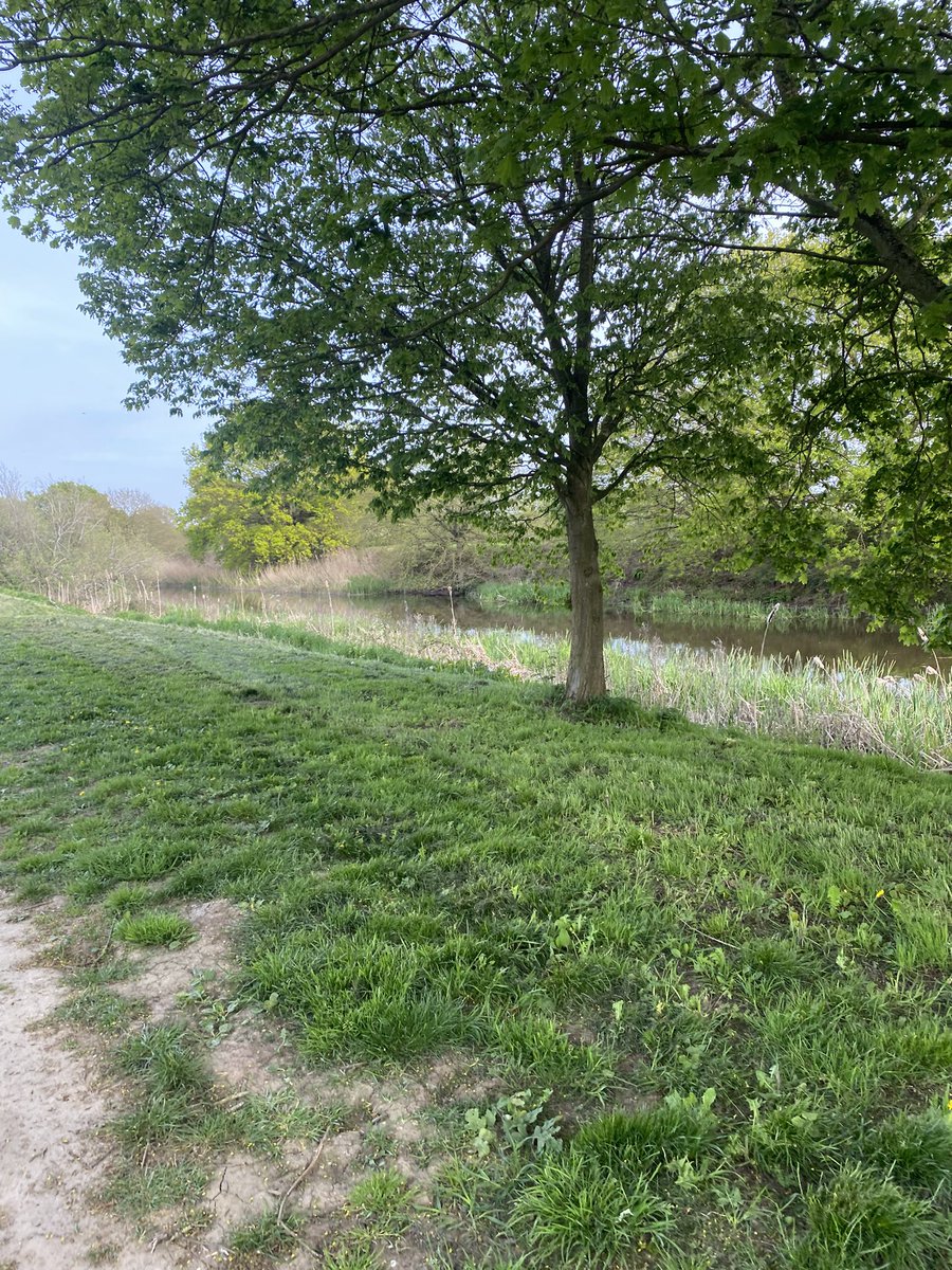 katiecakey123's tweet image. 4 miles this afternoon after a 5 mile walk. Tired legs so kept it short. Been a busy weekend of visiting family so- Rest day tomorrow. #runninggirl #justkeeprunning #halfmarathontraining #sundayrunday #sundayfunday