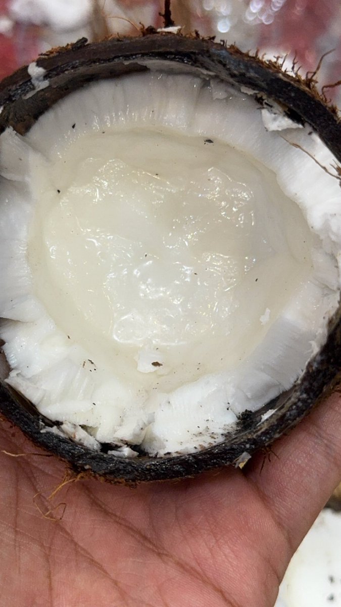 محمد tweet media