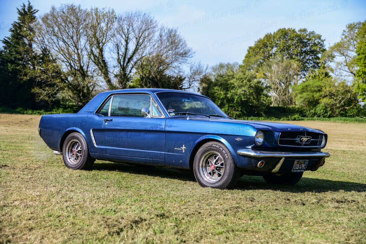 Cars with Daz tweet media