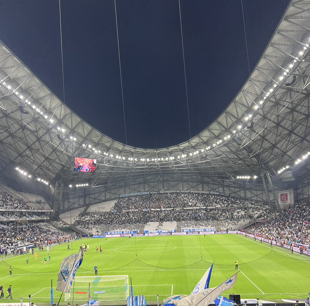 familystef tweet media