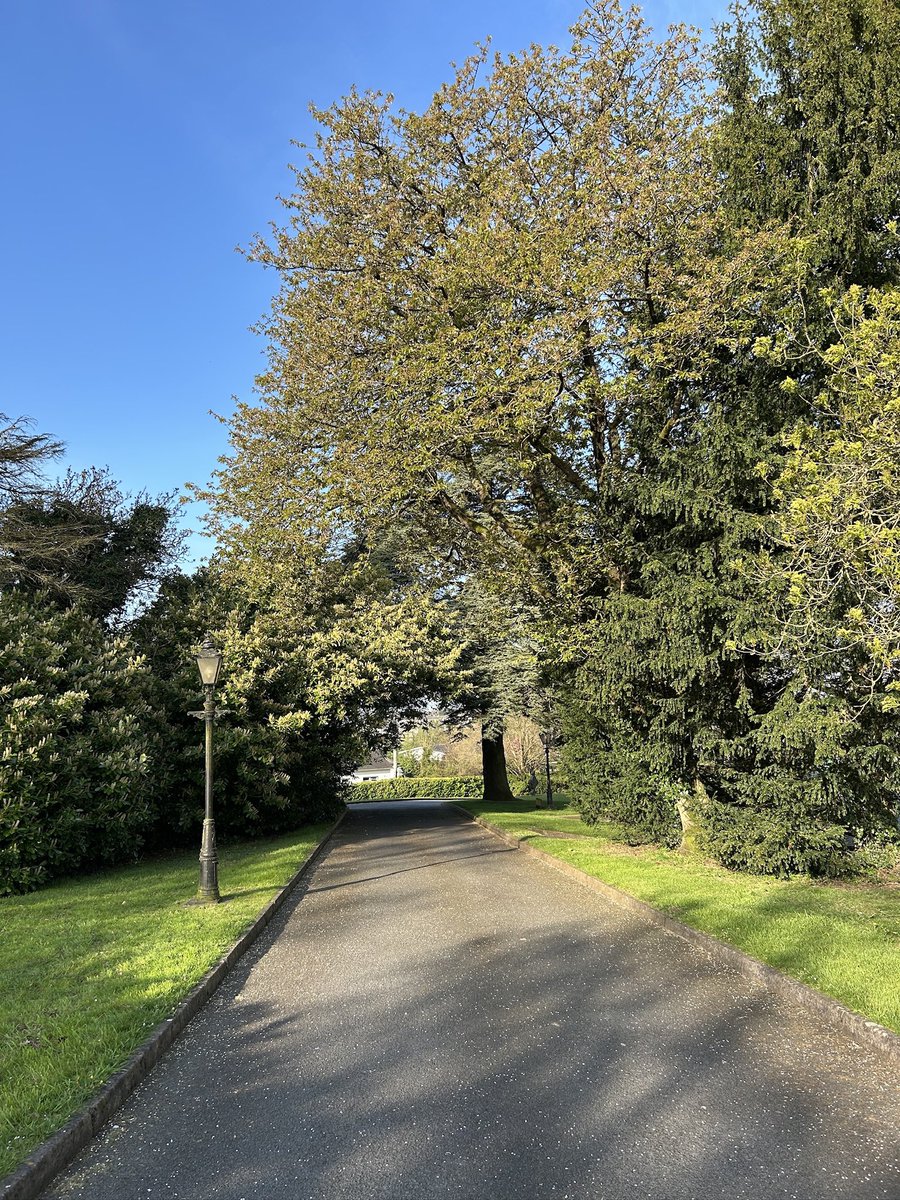 MacGiollaBhainM's tweet image. Sunday, day 116 #100daysofwalking #200daysofwalking #365daysofwalking