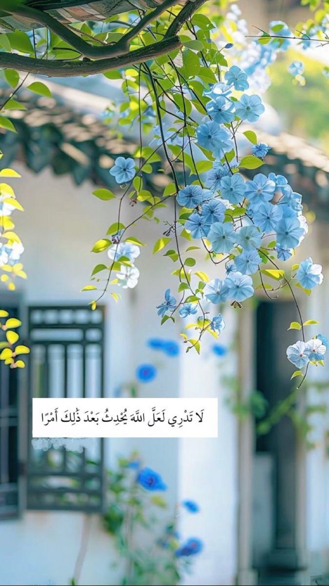 حكمة tweet media