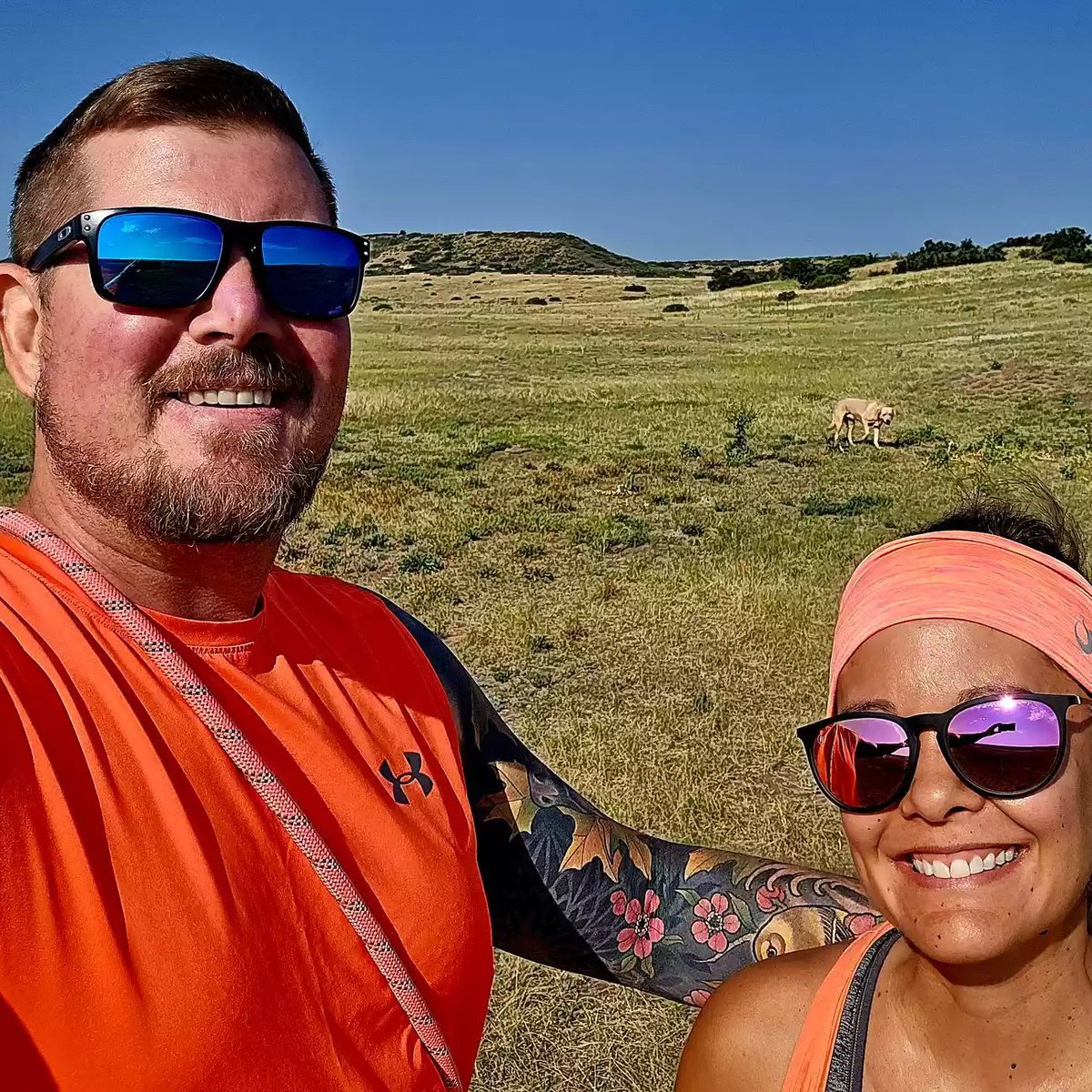 Cultination tweet media