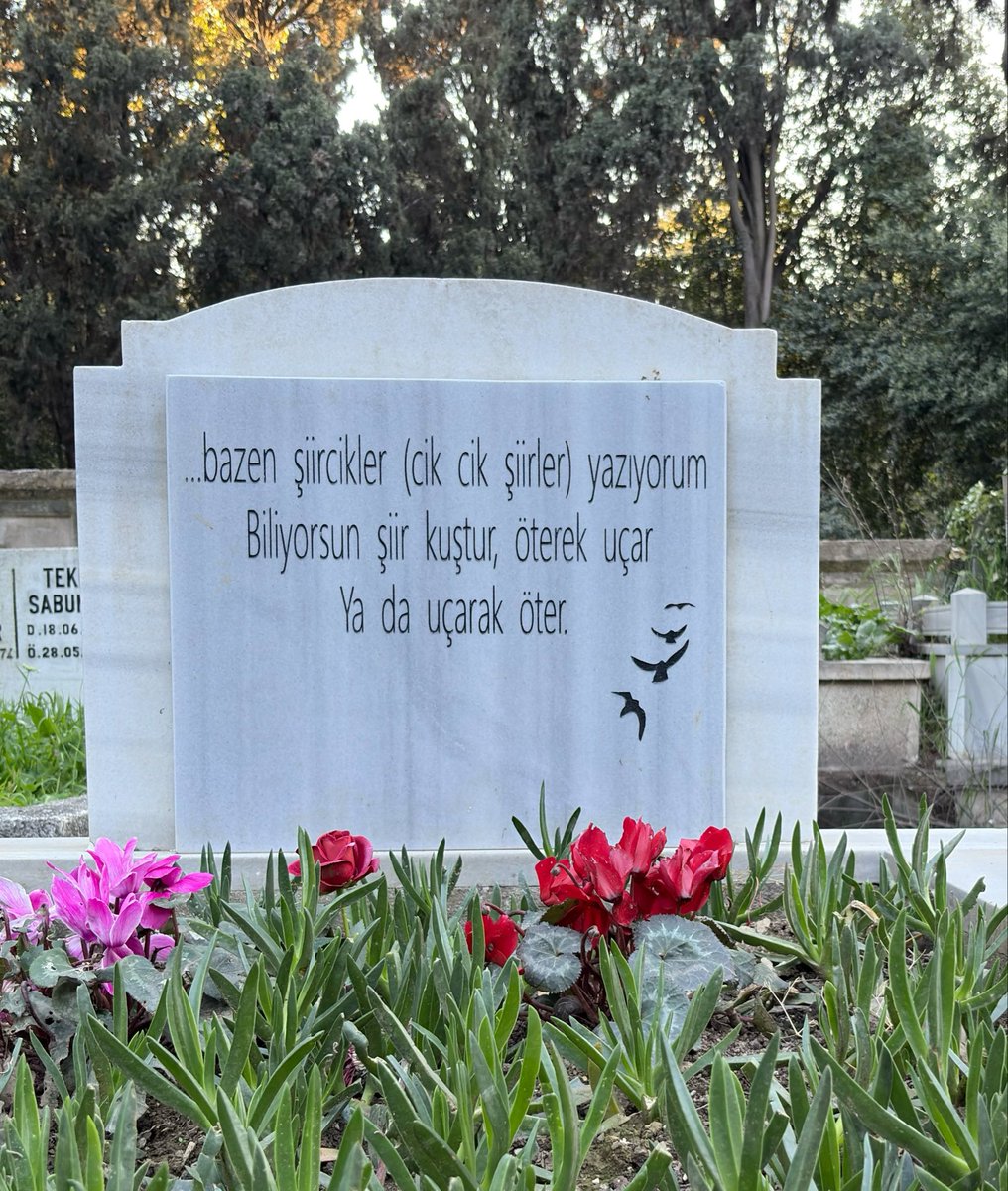 hmkaraca tweet media