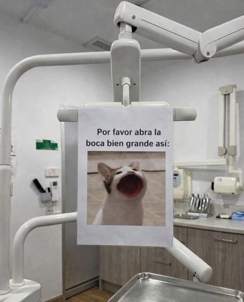 Dilo con gatitoz tweet media