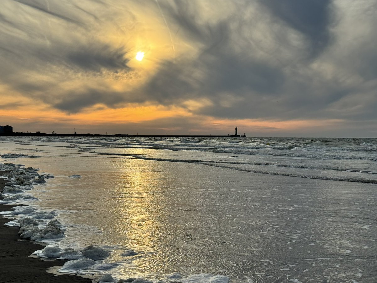 Sandra Fabiani tweet media