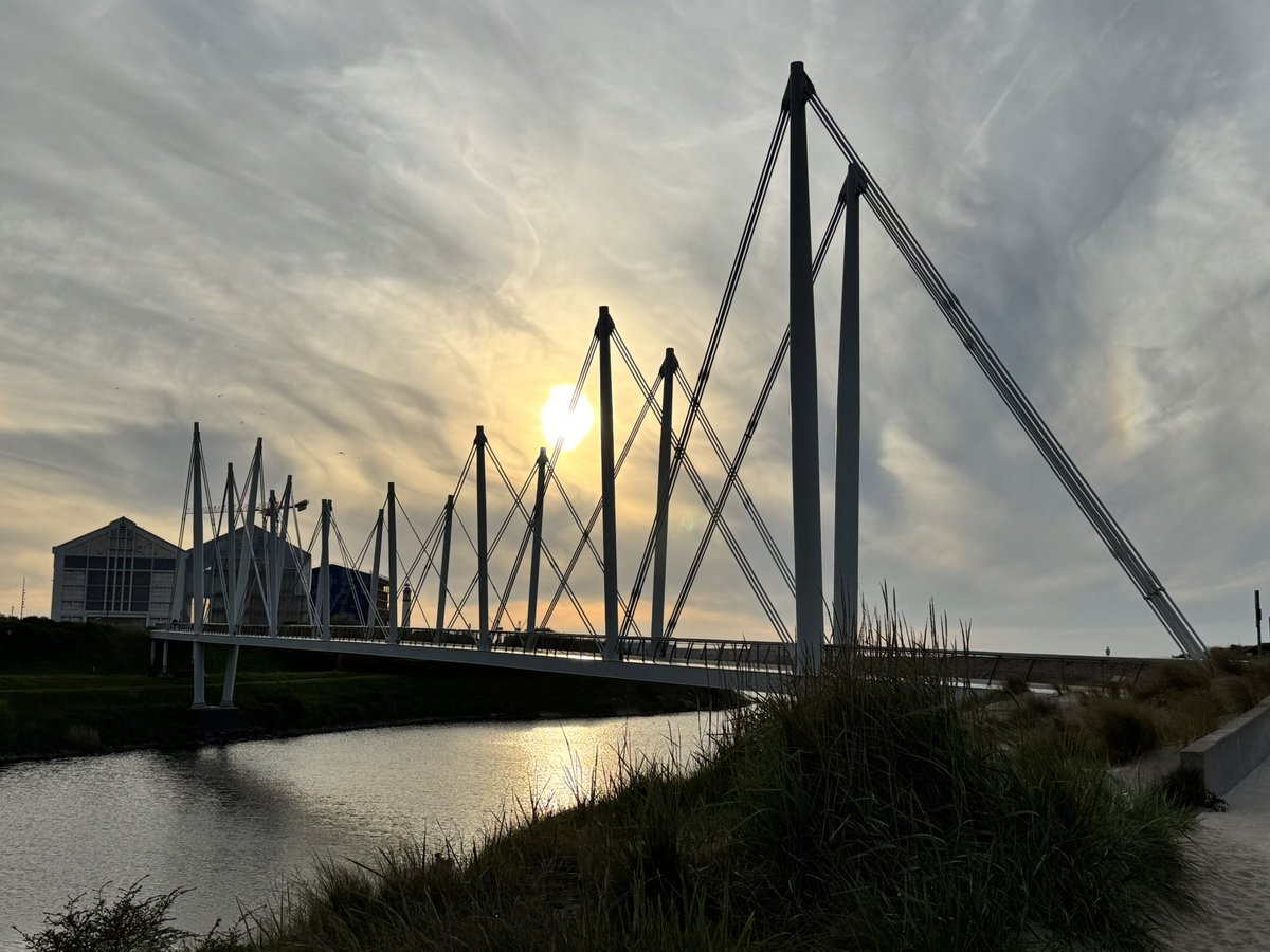 Sandra Fabiani tweet media