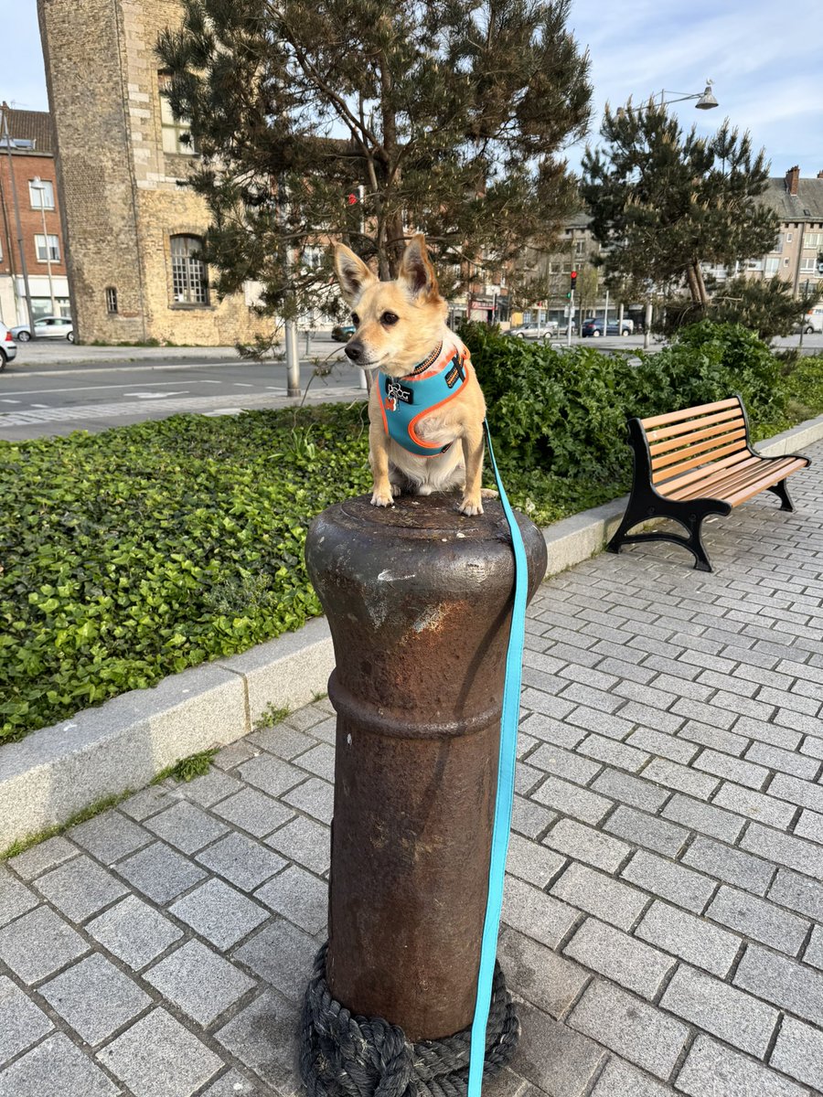 Sandra Fabiani tweet media