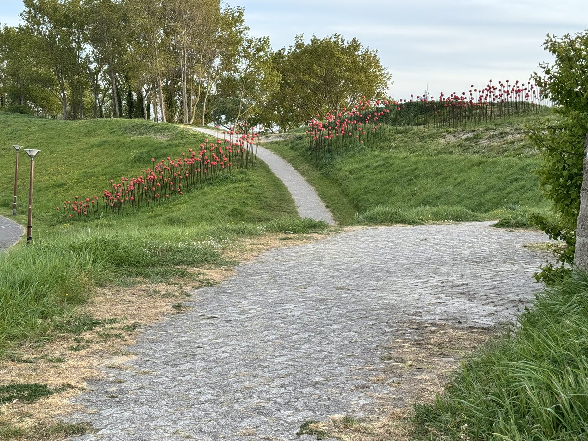 Sandra Fabiani tweet media