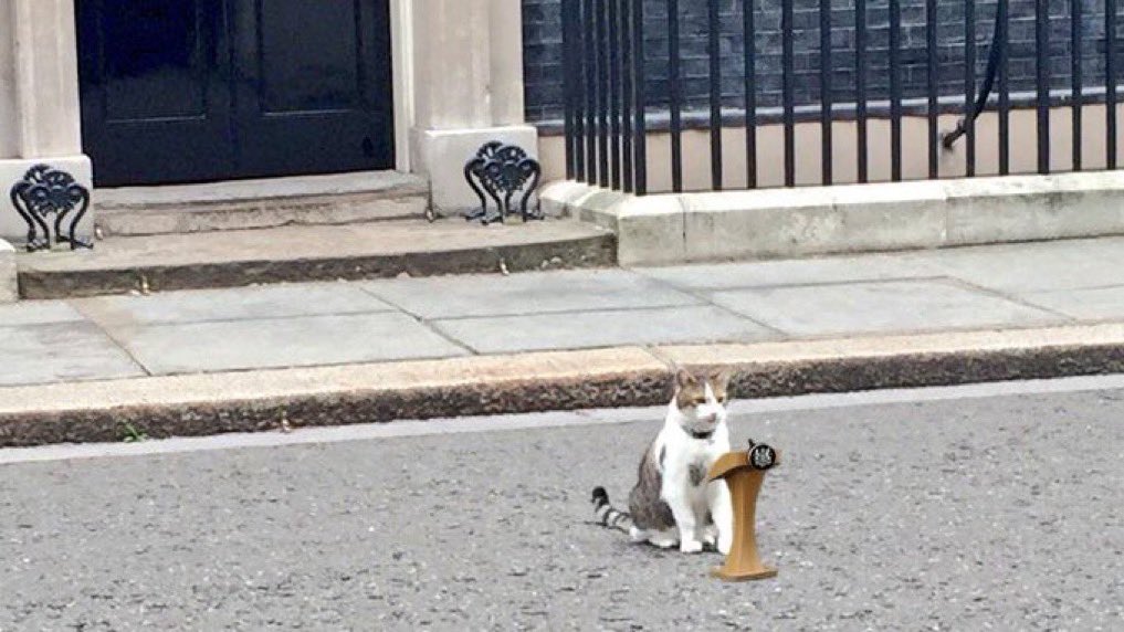 Charlieisaferal's tweet photo. @Number10cat I was expecting a postponement. Can’t wait to see what disaster happens during their visit. https://t.co/KzLOcgDgKv