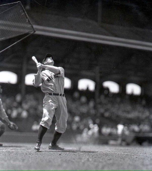 Baseball In Pics tweet media