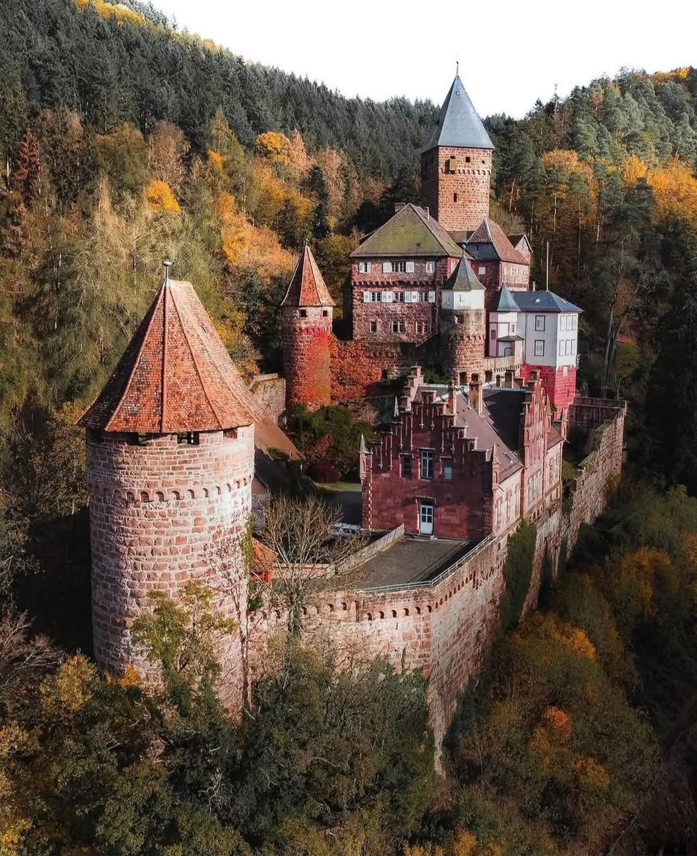 ERNIE BOND - VARIED SUBJECTS AND CURIOSITIES tweet media