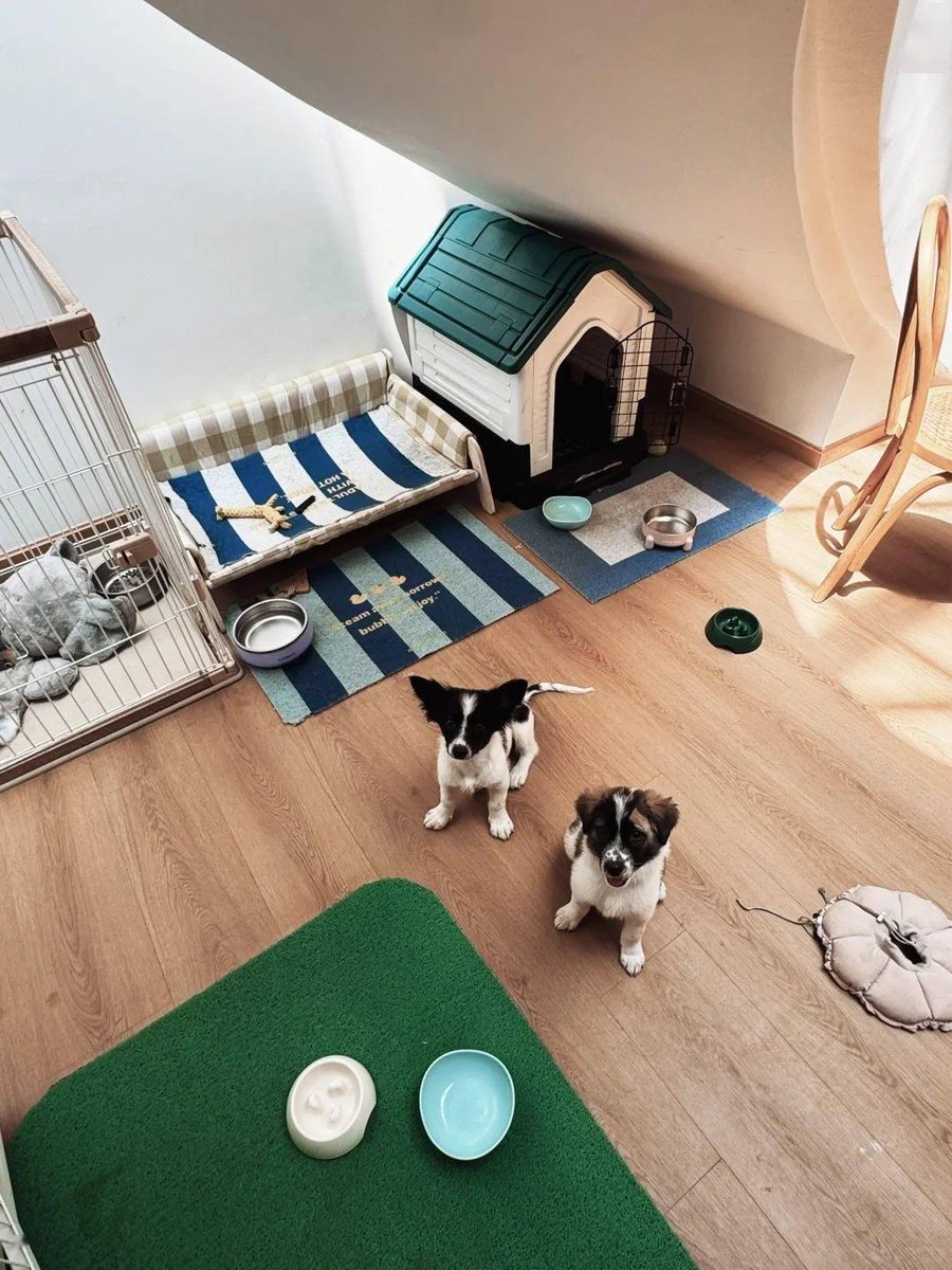 BambangKalimal1's tweet image. "Quick win! Folded the laundry that’s been staring at me for 3 days—now my couch looks less like a clothes mountain and more like a couch.  #SmallWins #HouseholdHacks"