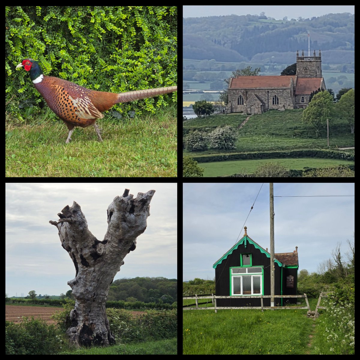 AnthonyParryUK's tweet image. Longest Bike ride yet at 47 miles 😍 Bike was awesome as always. Just need to find new exciting places to go and wander around! #GiantExploreE #cyclist #gaycyclist