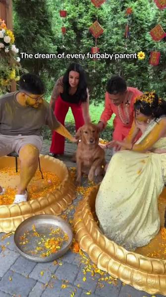 Khalid Khan tweet media