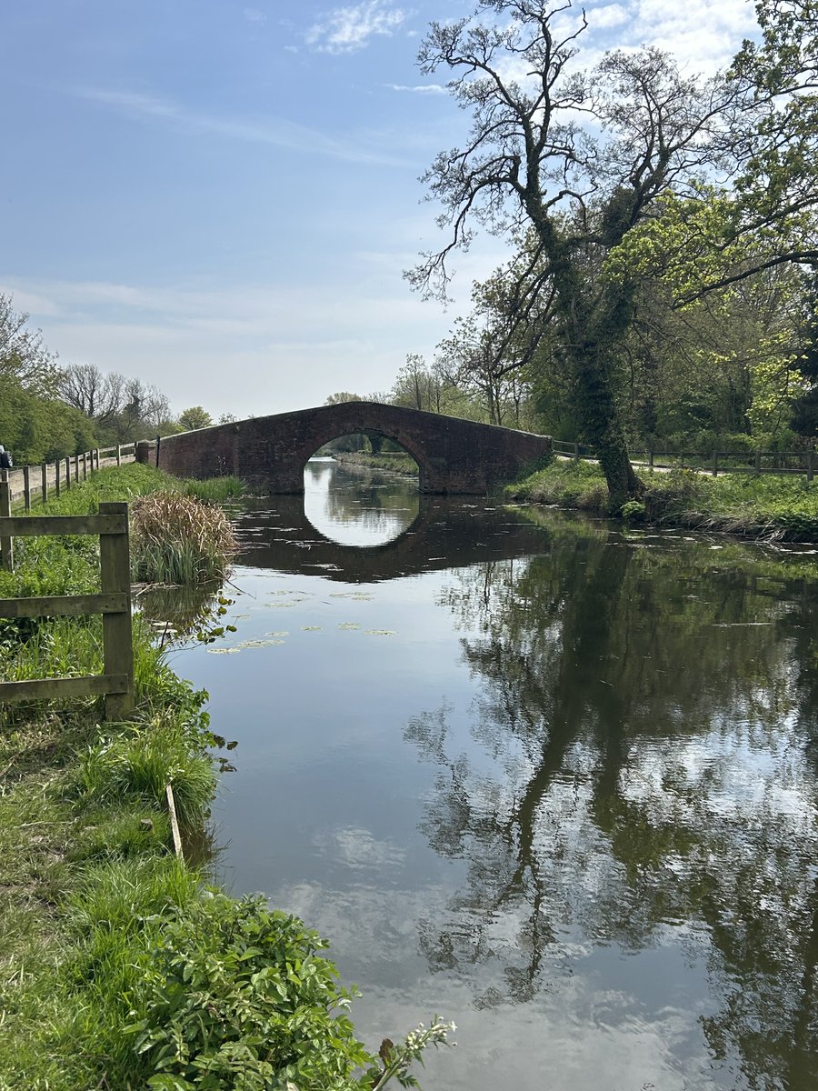 Cathphelan's tweet image. One of my favourite bridges … by Ripon canal … such a lovely peaceful walk 🥰 #wellbeing
