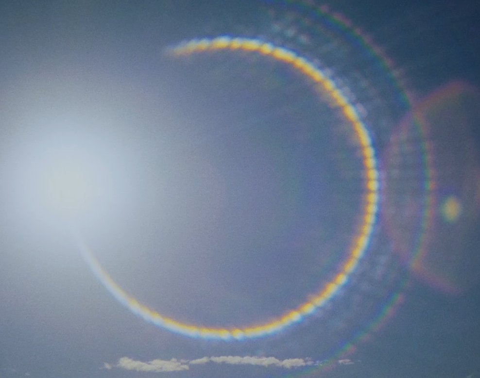 project hail seven tweet media