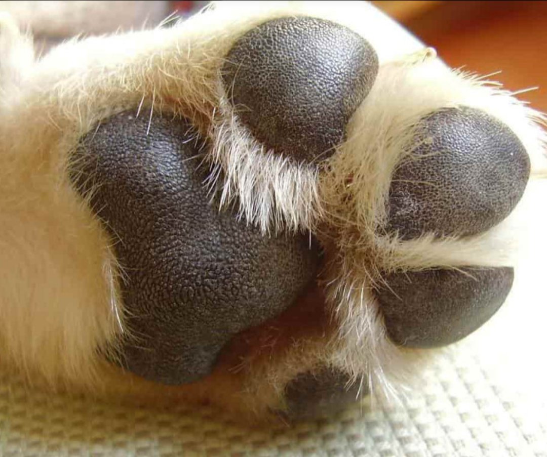 Emon Lusk tweet media