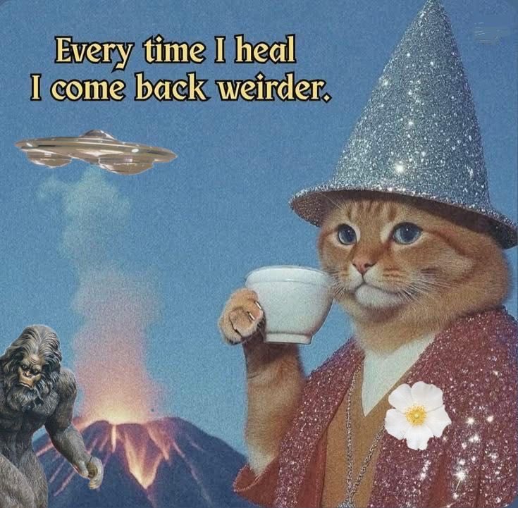 ﾒ﹏ﾒ tweet media