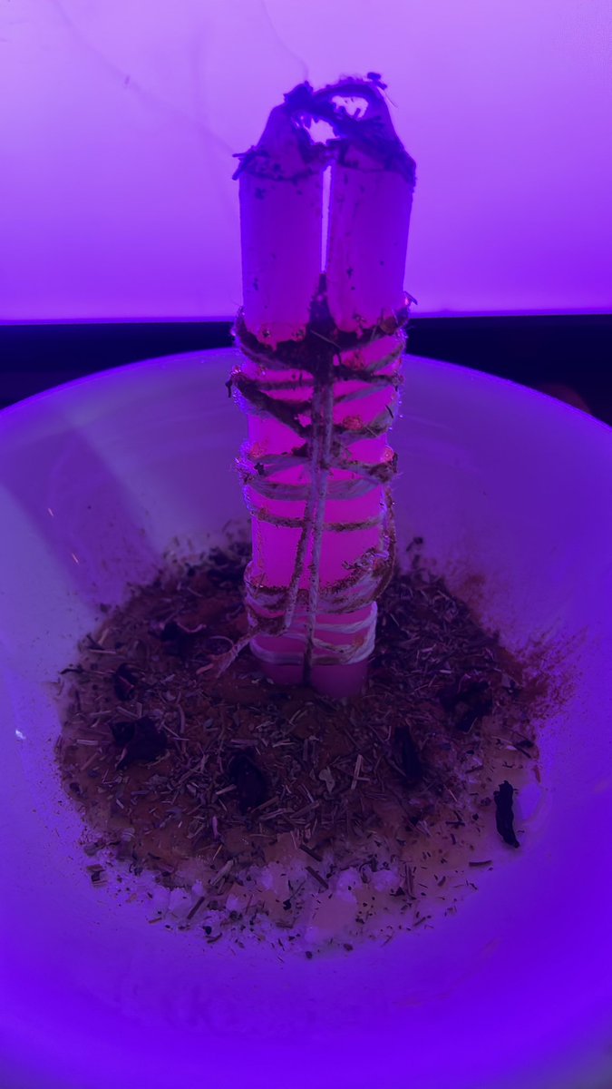 portaldavic's tweet image. olhem essa lindeza e o feedback por traz 

#bruxanatural #feitiço #magia #cartomante