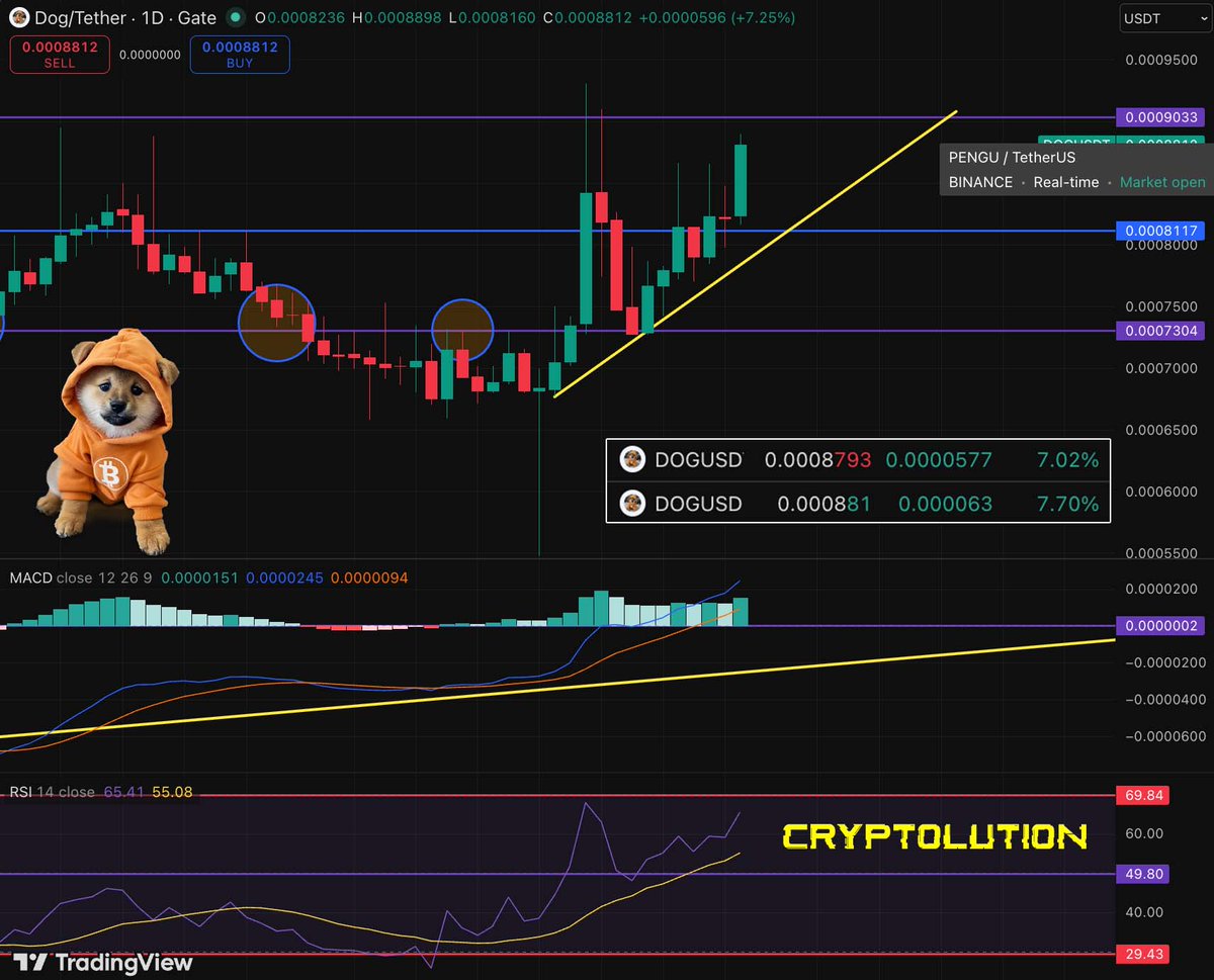 Vincent (Cryptolution) 👑 tweet media