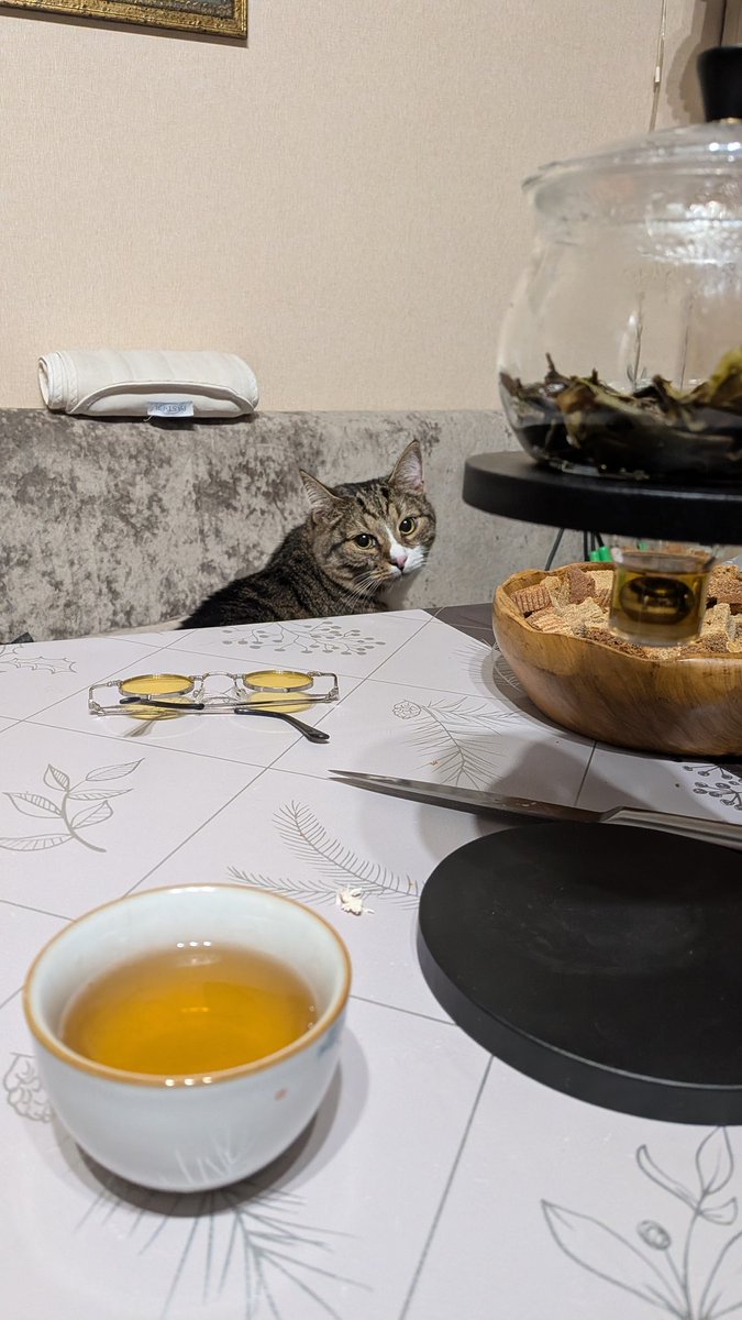 Лосось в кустах черники tweet media