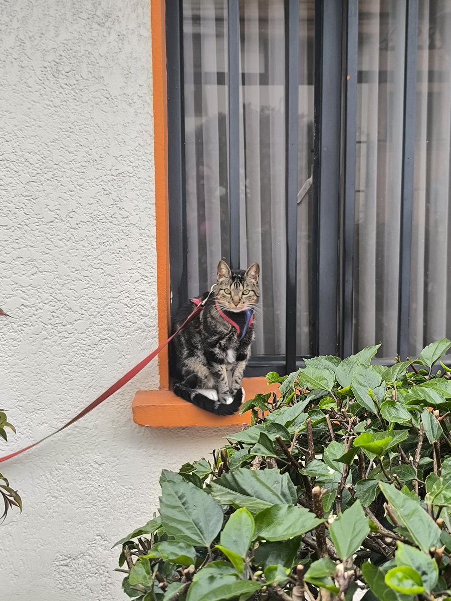 LuzMa la zurda! tweet media