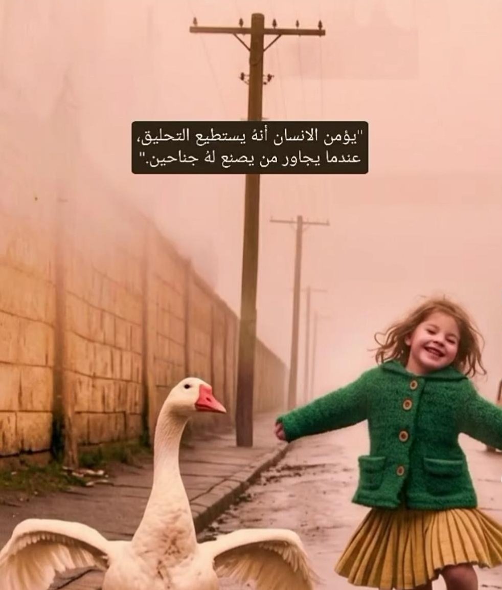 فجر🕊 tweet media