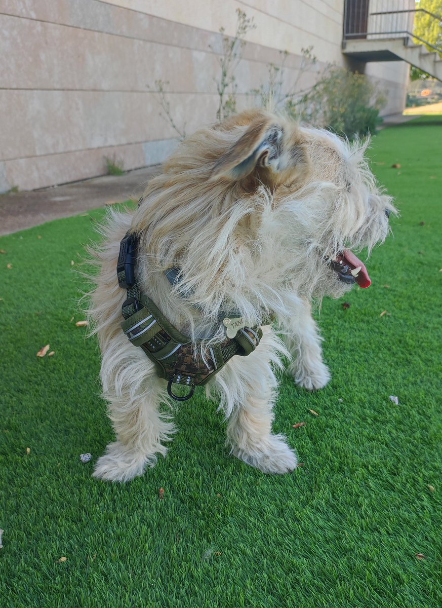 4 De Septiembre ✵ tweet media