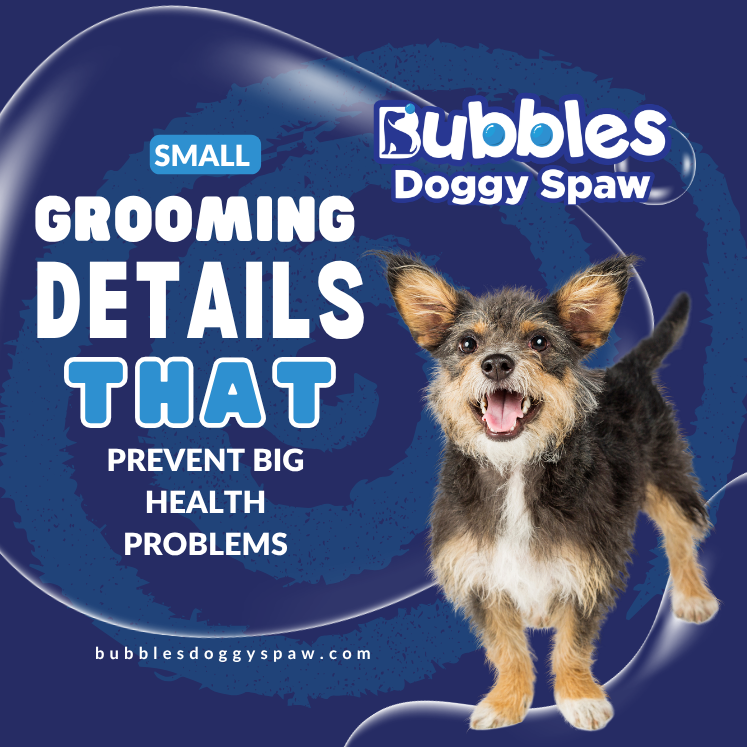 BubblesDoggySpa's tweet image. Little details make a big difference in your dog’s health 🐶
 Routine grooming helps prevent problems before they start.
Trust our professional team to keep your pet comfortable 🚐✂️

#PreventiveCare
 #MobileGrooming
 #HappyPets