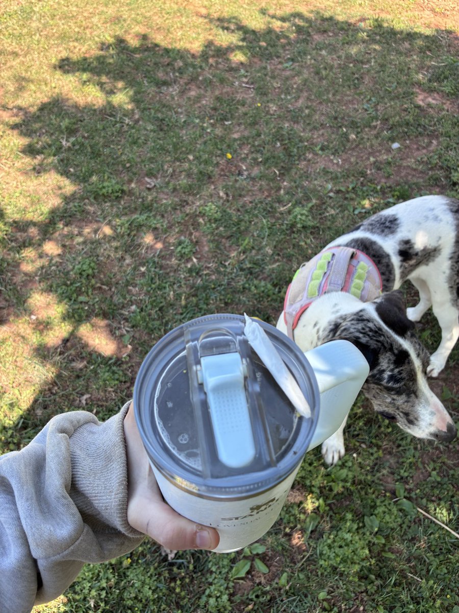 LilySmithysw's tweet image. Good evening everyone what we smoking?? 

#weed #tea