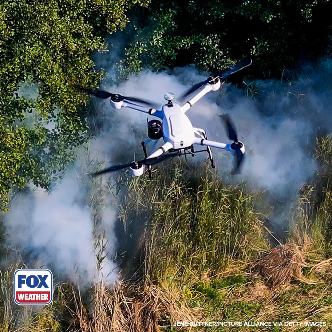 foxweather's tweet image. EMERGING THREAT ‼️: Officials are warning the public of a record number of drones interfering with wildfire coverage, particularly during the Palisades and Eaton fires, posing a risk to first responders.

Click the link to read more: foxweather.com/weather-news/d…

#Wildfires #Drones