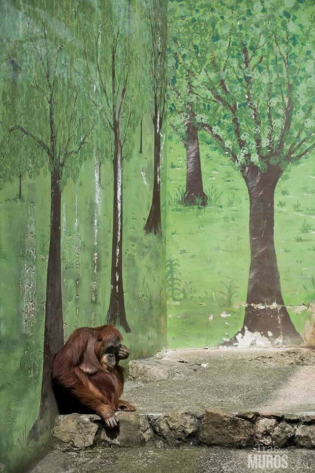 Ils lui ont pris le plus précieux, sa liberté.
Des prisonniers sans crime, des prisons en béton avec des arbres peints.
Tu sais ce qu'il y a dans un zoo ?
La tristesse, la solitude, le manque, le désespoir, la dépression, la douleur, la mort...