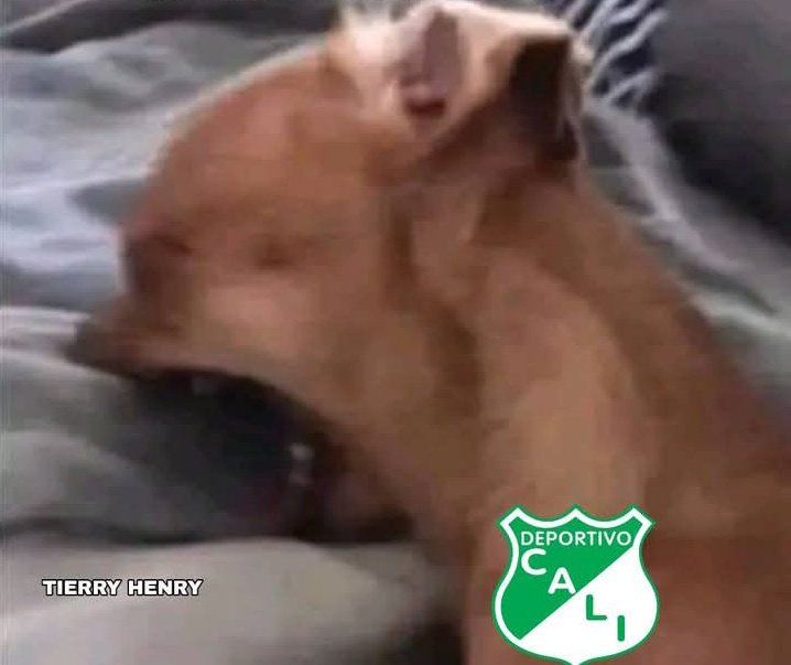 🇦🇹👹Potter El Rojo👹🇦🇹 tweet media