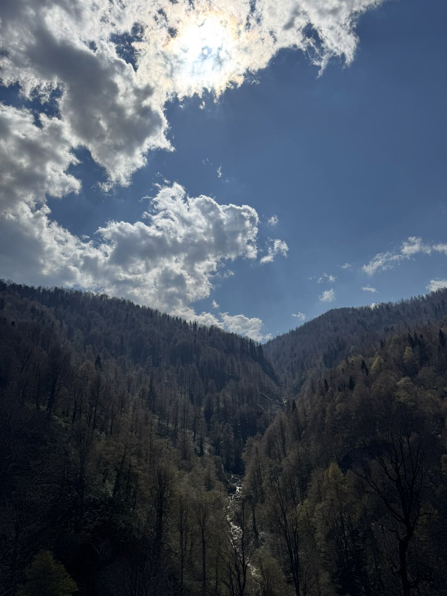 Osman ALEMDAR tweet media