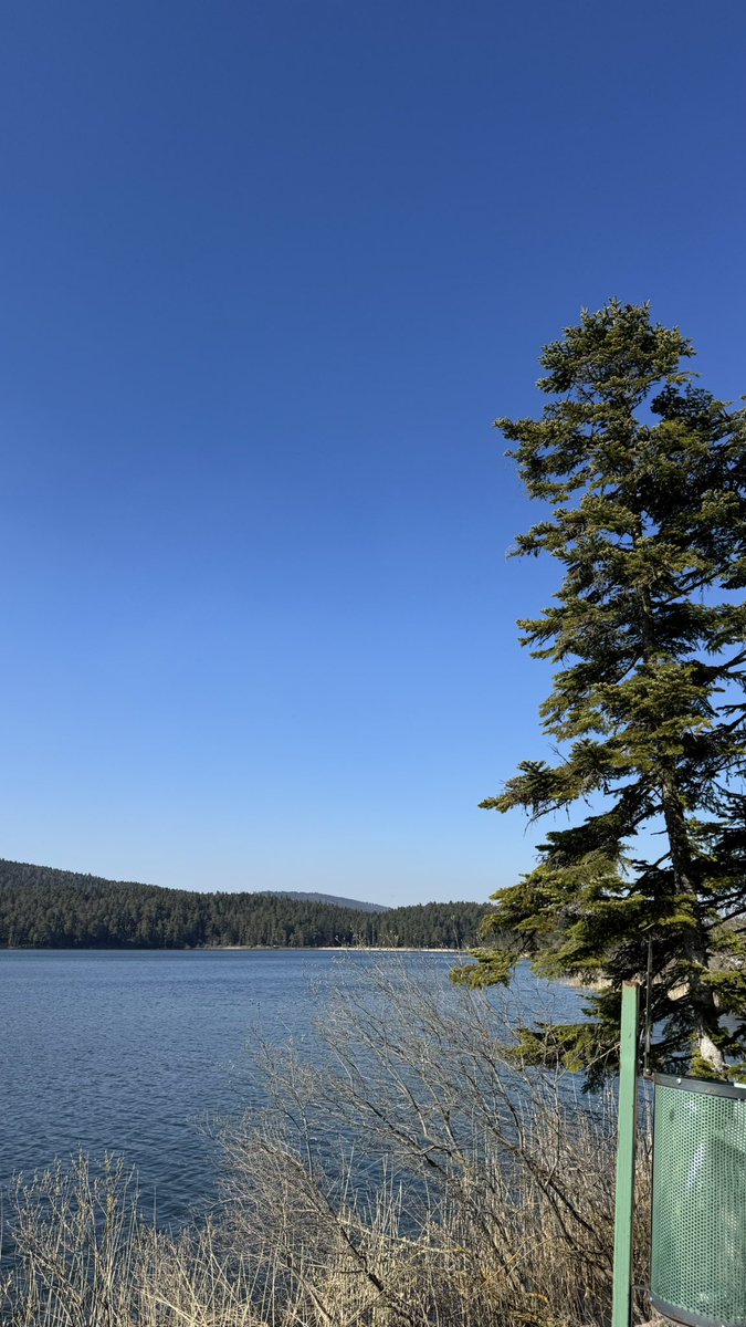 Osman ALEMDAR tweet media