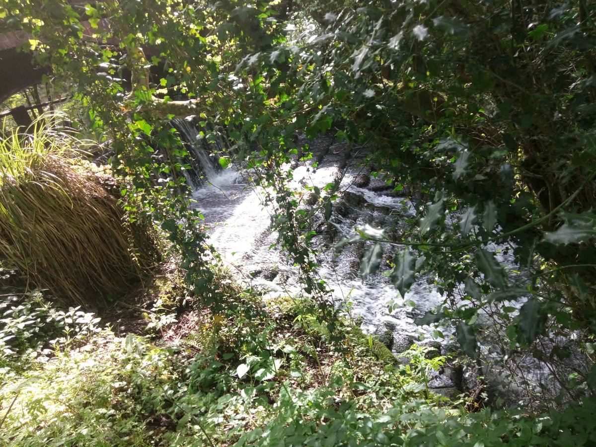 RedbridgePlus's tweet image. Photos from #springbreak in #Christchurch. #RedbridgePlus #Socialgroup #Redbridge #Ilford #Woodford #SevenKings