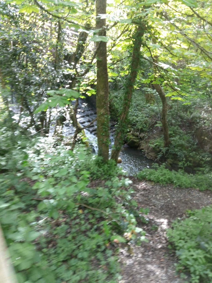 RedbridgePlus's tweet image. Photos from #springbreak in #Christchurch. #RedbridgePlus #Socialgroup #Redbridge #Ilford #Woodford #SevenKings