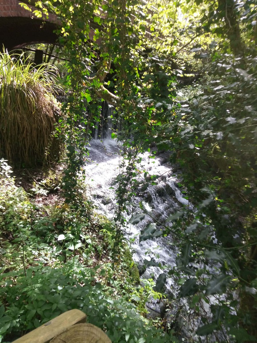 RedbridgePlus's tweet image. Photos from #springbreak in #Christchurch. #RedbridgePlus #Socialgroup #Redbridge #Ilford #Woodford #SevenKings