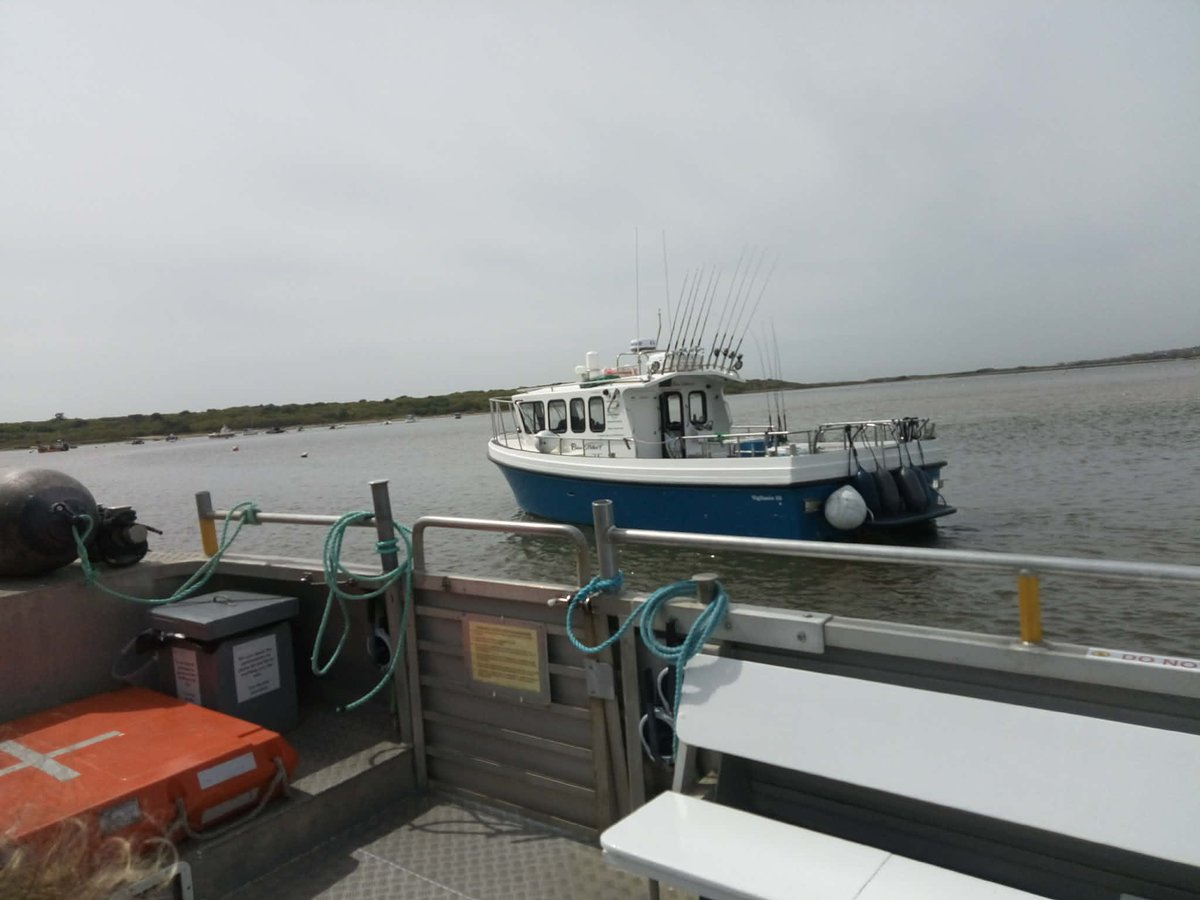 RedbridgePlus's tweet image. More photos from #springbreak in #Christchurch. #RedbridgePlus #Socialgroup #Redbridge #Ilford #Woodford #SevenKings