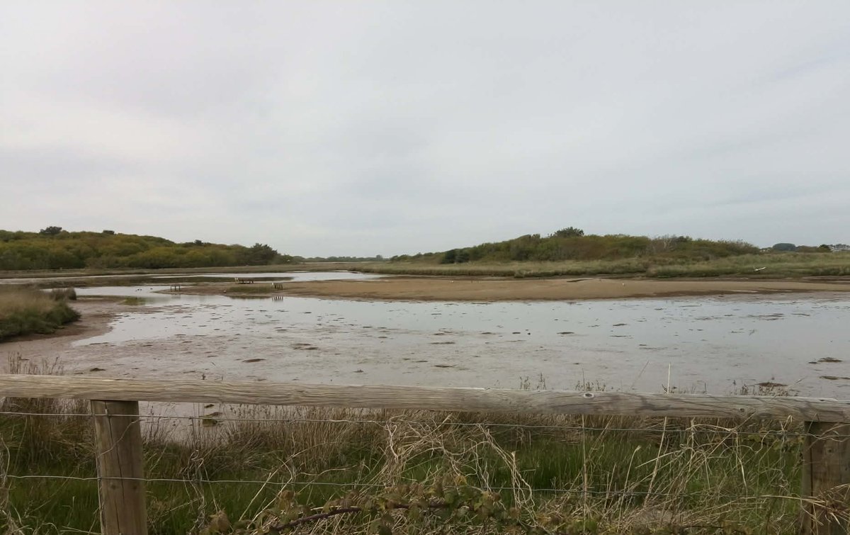 RedbridgePlus's tweet image. More photos from #springbreak in #Christchurch. #RedbridgePlus #Socialgroup #Redbridge #Ilford #Woodford #SevenKings