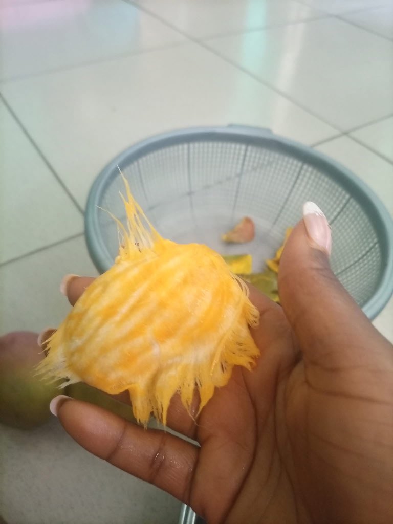 Ẹniọla 🇳🇬 tweet media